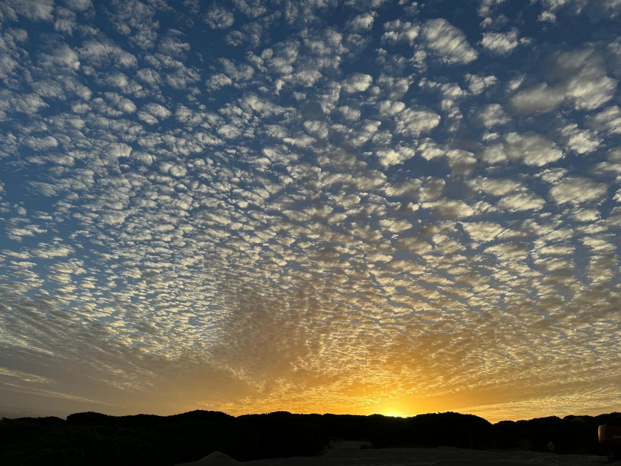 Atico Sonnenschein *